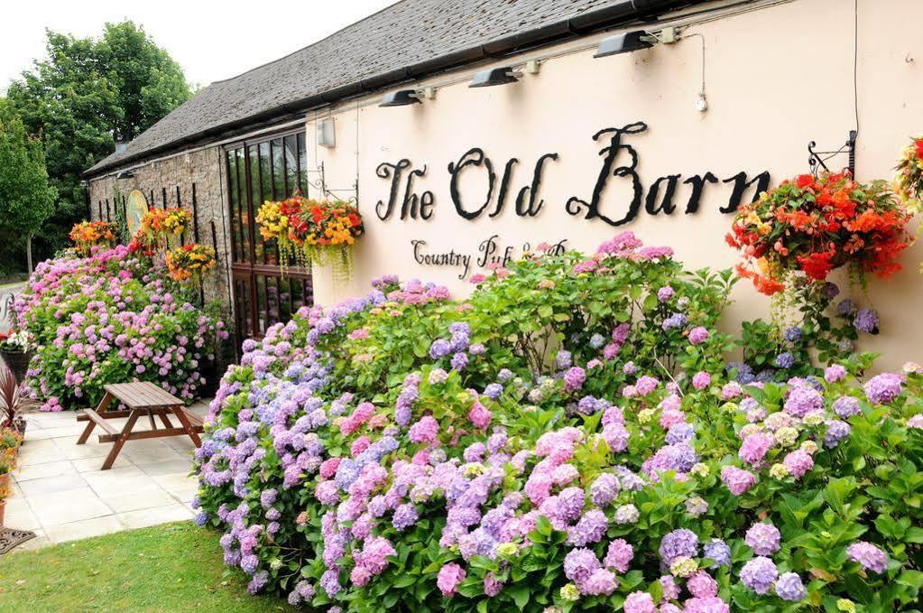 The Old Barn Inn Newport  Ngoại thất bức ảnh